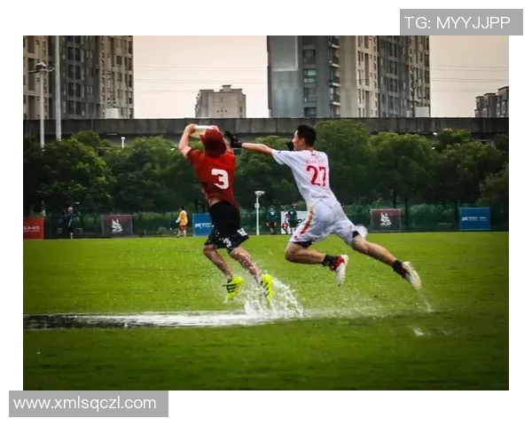 深圳飞盘队实力解析：探索这支新兴团队的成长与挑战